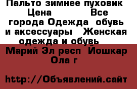 Пальто зимнее пуховик › Цена ­ 2 500 - Все города Одежда, обувь и аксессуары » Женская одежда и обувь   . Марий Эл респ.,Йошкар-Ола г.